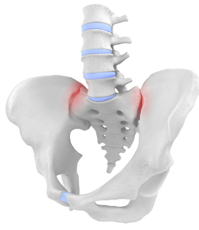 Hip Anatomy Image