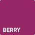 Berry