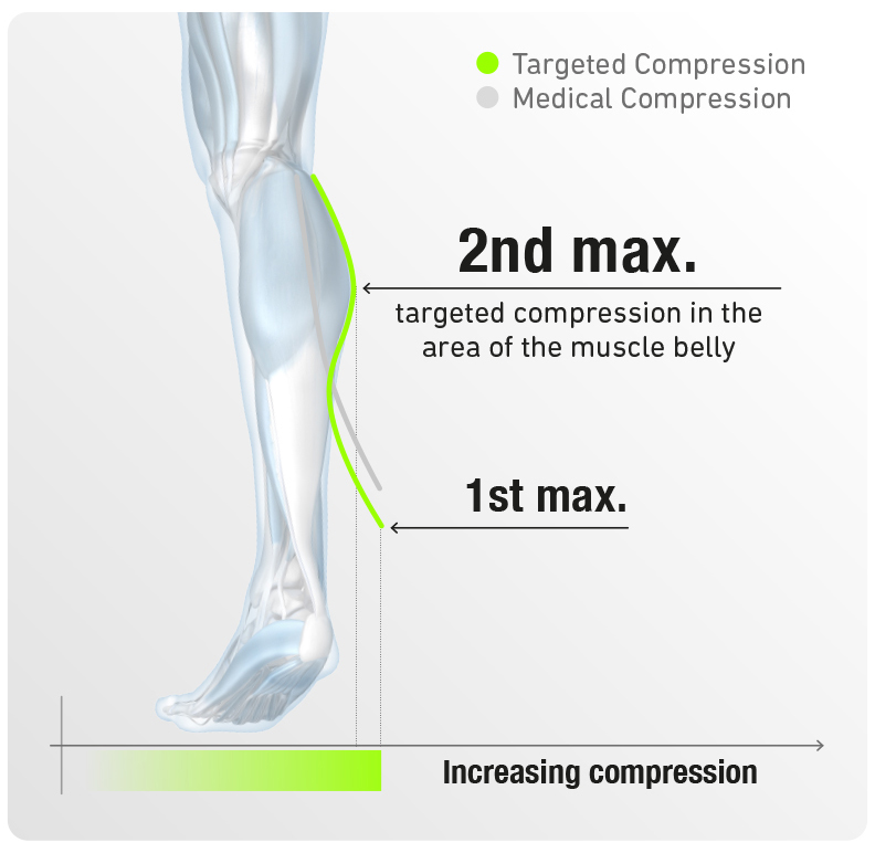 Bauerfeind Run Ultralight Socks Info Graphic